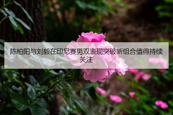 陈柏阳与刘毅在印尼赛男双表现突破新组合值得持续关注
