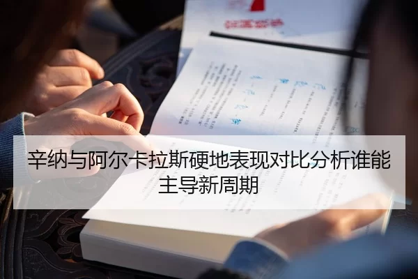 辛纳与阿尔卡拉斯硬地表现对比分析谁能主导新周期