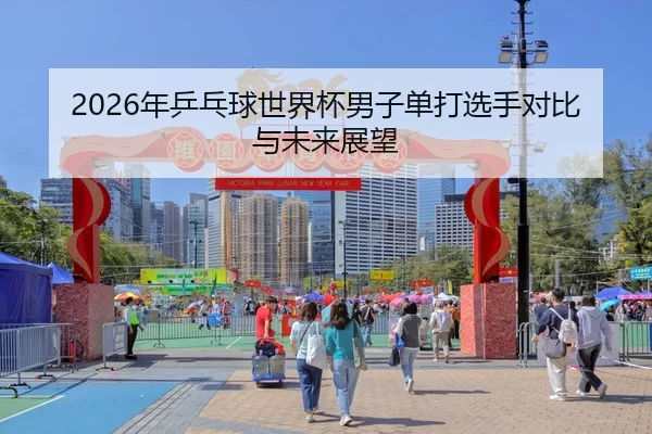 2026年乒乓球世界杯男子单打选手对比与未来展望