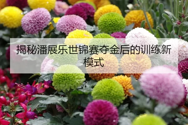 揭秘潘展乐世锦赛夺金后的训练新模式