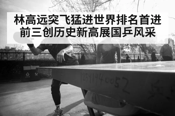 林高远突飞猛进世界排名首进前三创历史新高展国乒风采
